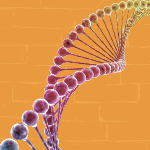 Speaker Profile Image